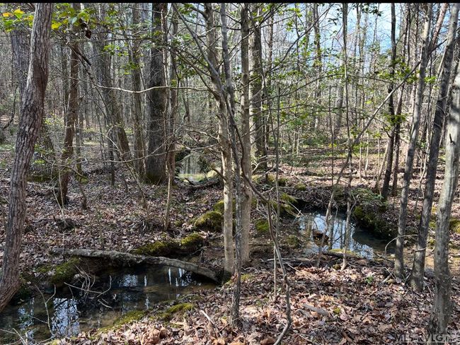 234 Rolling Hills Rd, House other with 3 bedrooms, 2 bathrooms and null parking in Skipwith VA | Image 24