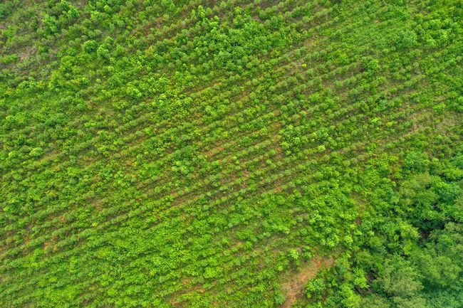 DJI_0664 | Image 13