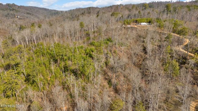 1205 Maples Manor Way, Home with 0 bedrooms, 0 bathrooms and null parking in GATLINBURG TN | Image 24