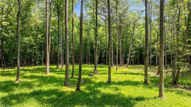 34AC Windsor Rd, Home with 0 bedrooms, 0 bathrooms and null parking in Dutton VA | Image 13