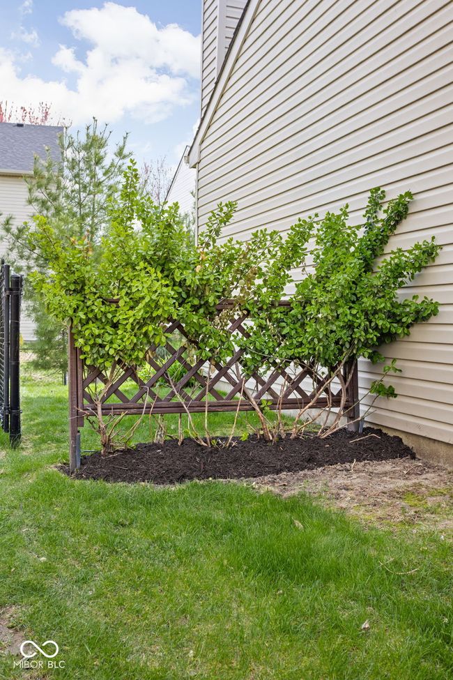 Privacy vines on either side of the home. | Image 23