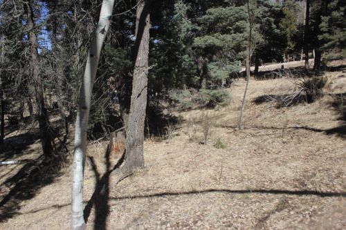 265 El Camino Real, Angel Fire, NM, 87710-8167 | Card Image