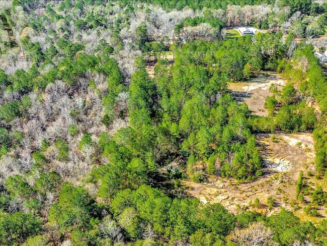 This aerial view showcases a large, wooded area with dense greenery and open clearings, perfect for a secluded home. The landscape offers privacy and natural beauty, with a mix of trees and open space. Ideal for those seeking tranquility and a connection to nature. | Image 17