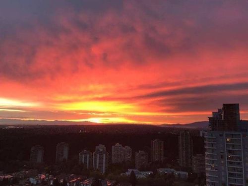 3907-6461 Telford Ave, Burnaby, BC, V5H0B7 | Card Image