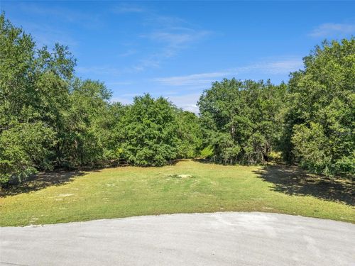 18353 Great Blue Heron Dr, Groveland, FL, 34736-9371 | Card Image