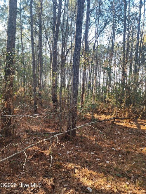 210 Highway Off, Rocky Point, NC, 28457 | Card Image