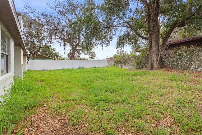 Backyard | Image 36