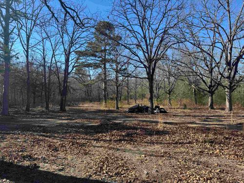 2859 Highway 71 N, Mena, AR, 71953-8599 | Card Image