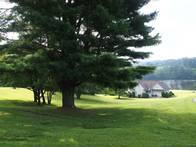 19 Lone Oak Ct, House other with 4 bedrooms, 4 bathrooms and 2 parking in Laurel Fork VA | Image 5