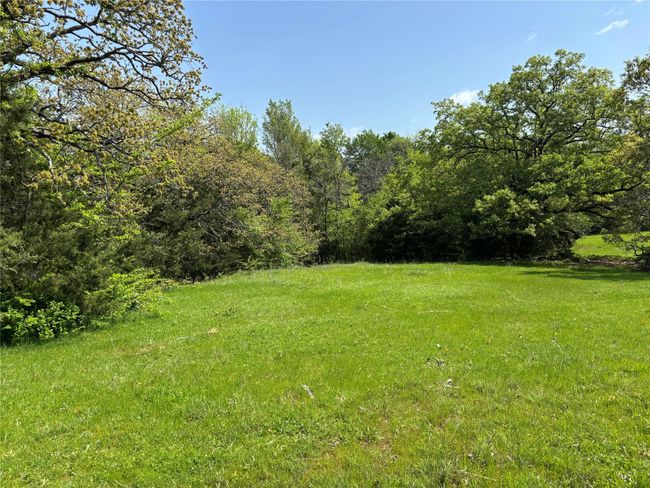 View of yard with a forest view | Image 5