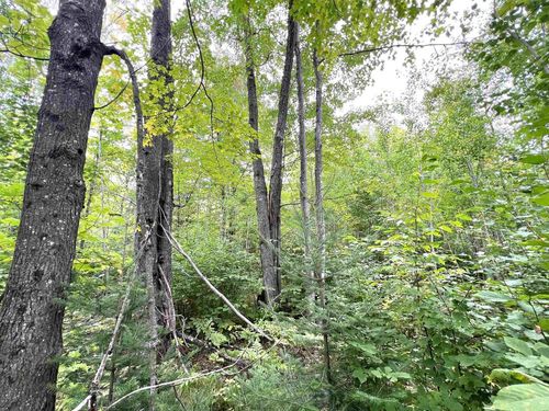 5.56 acres On Star Lake Road, LINCOLN, WI, 54520 | Card Image