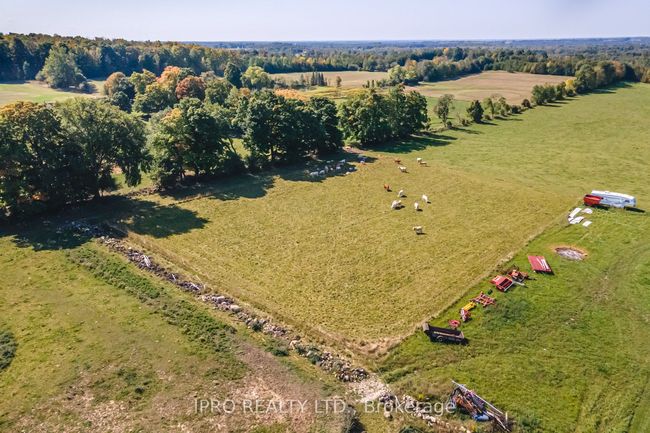 403428 Grey Rd 4, House other with 4 bedrooms, 4 bathrooms and 10 parking in Municipality Of West Grey ON | Image 18