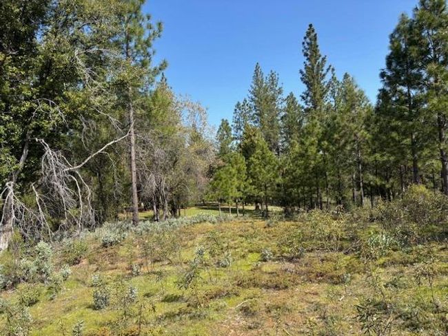 19292 Shawnee Trl, Home with 0 bedrooms, 0 bathrooms and null parking in Mokelumne Hill CA | Image 52