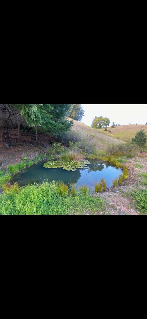 1701 Etter Ranch Rd, Garberville, CA, 95542-9629 | Card Image