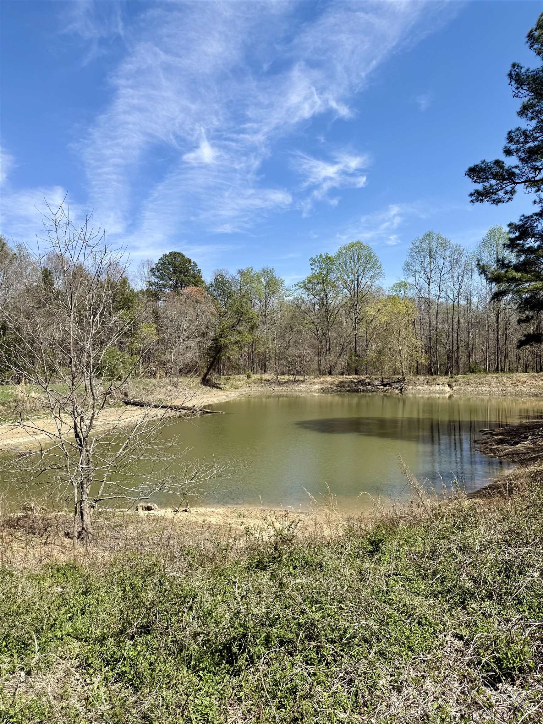Land in woodruff
