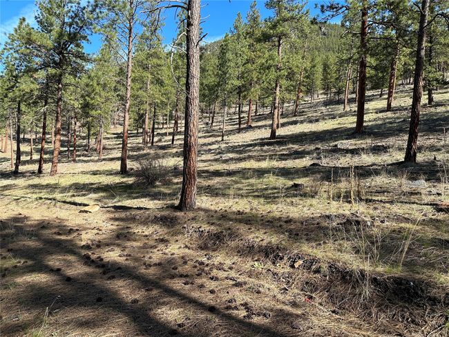 31760 Old Highway 10 W, Home with 0 bedrooms, 0 bathrooms and null parking in Alberton MT | Image 24