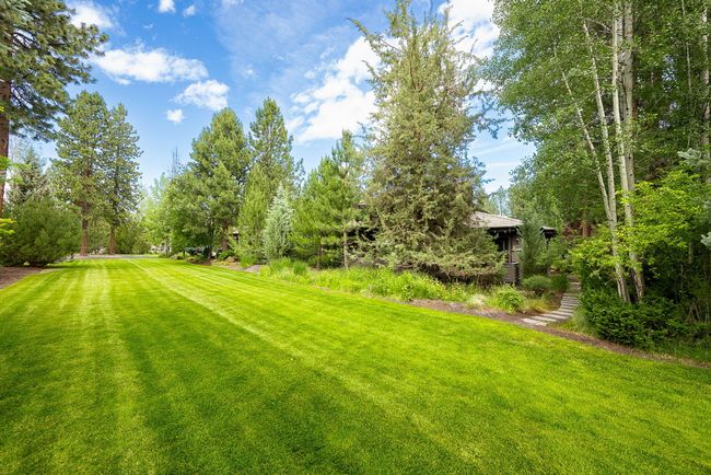 12-web-or-mls-6-27-25 61345 Tam McArthur | Image 42