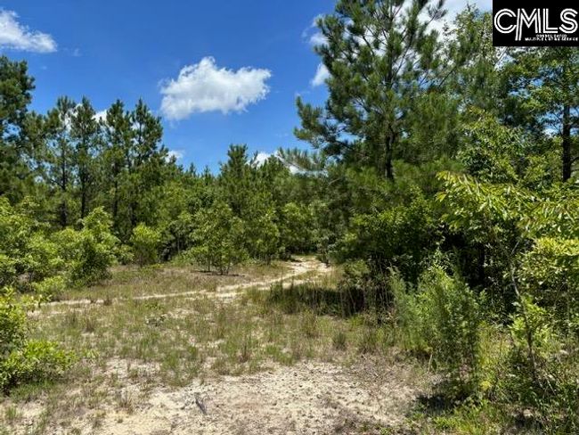 000 Feather Run Rd, Home with 0 bedrooms, 0 bathrooms and null parking in Kershaw SC | Image 4