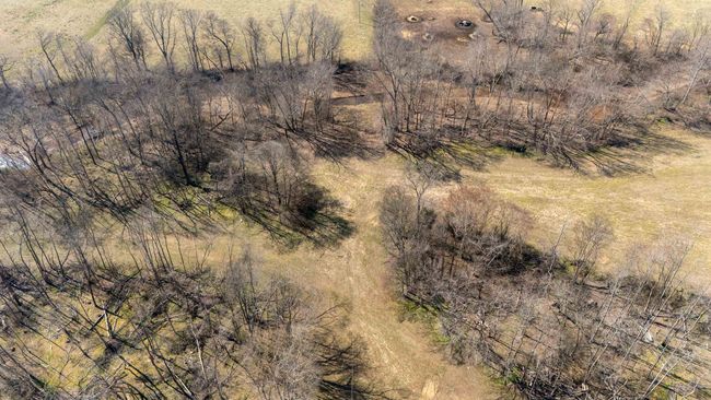 4 Old Weatherford Creek Rd, Home with 0 bedrooms, 0 bathrooms and null parking in Lutts TN | Image 29