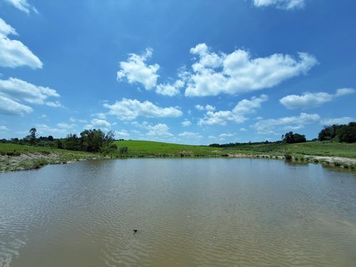 143 ac County Road 236, Oakwood, TX, 75855 | Card Image