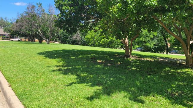 Greenspace / park | Image 4