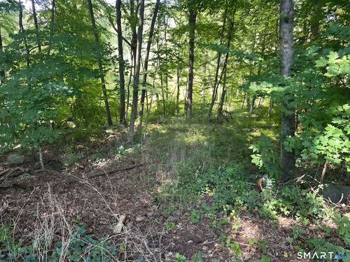 56 Hubbell Mountain Rd, Sherman, CT, 06784-1733 | Card Image