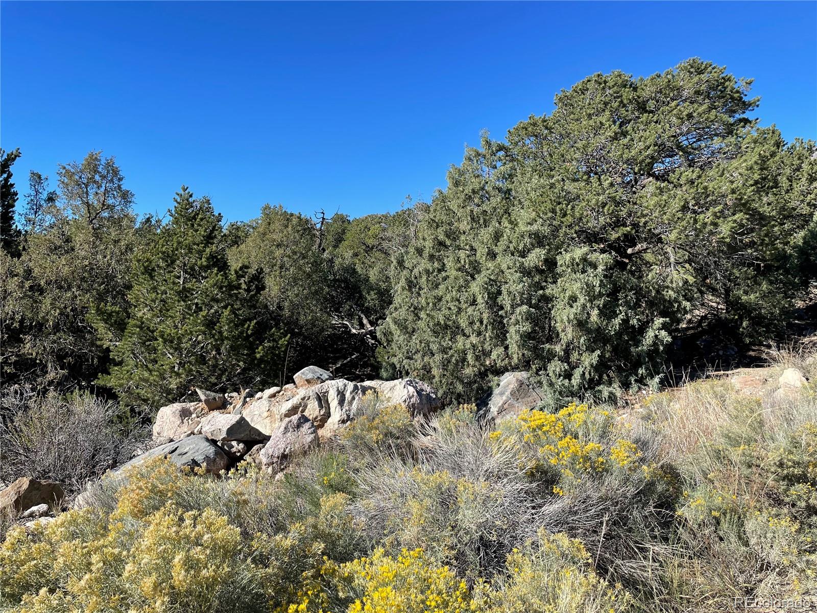 Land in Crestone 3