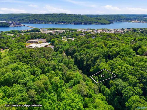 Lot 12 Lusk St, Guntersville, AL, 35976 | Card Image