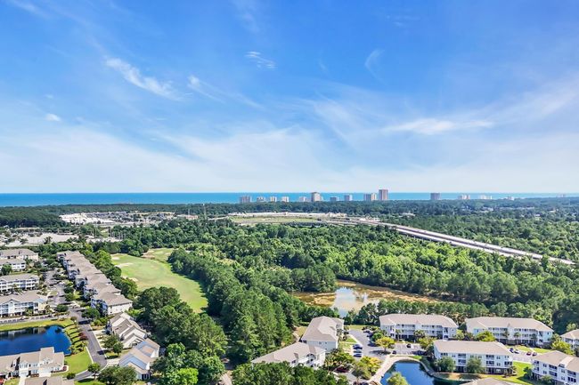 Aerial view of a large body of water and a tree filled landscape | Image 35