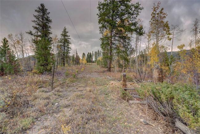 View of local wilderness featuring a view of trees | Image 21