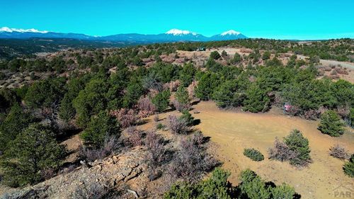 11298 Primero Ranch Rd, Trinidad, CO, 81082 | Card Image