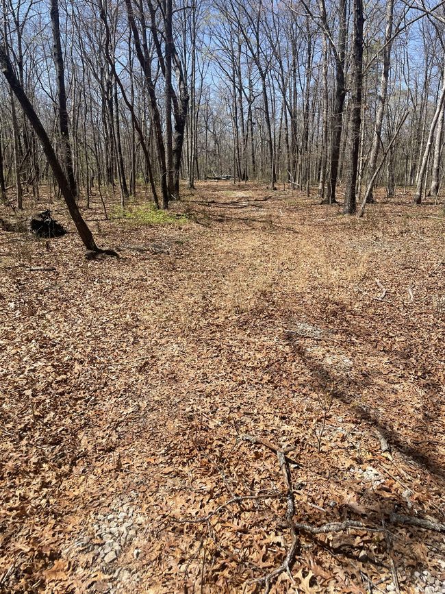 0 Quintard Rd, Home with 0 bedrooms, 0 bathrooms and null parking in Sewanee TN | Image 5