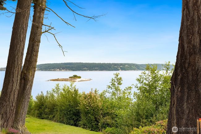 View of Baby Island | Image 30