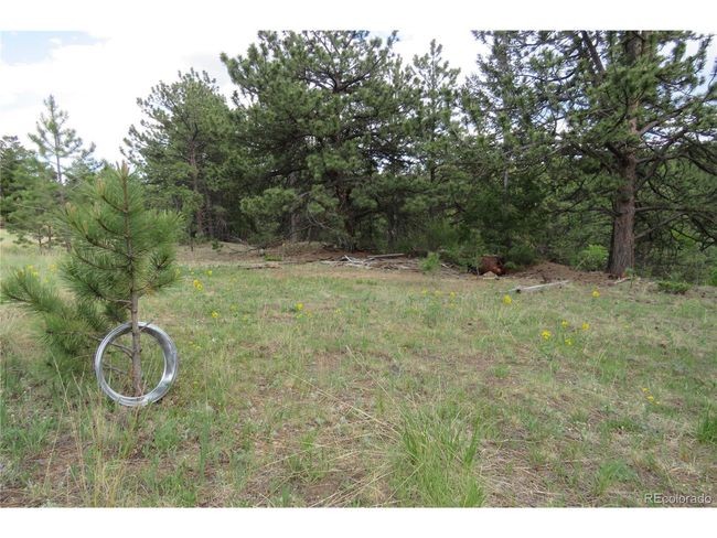 0 Come And See Mine, Home with 0 bedrooms, 0 bathrooms and null parking in Central City CO | Image 39