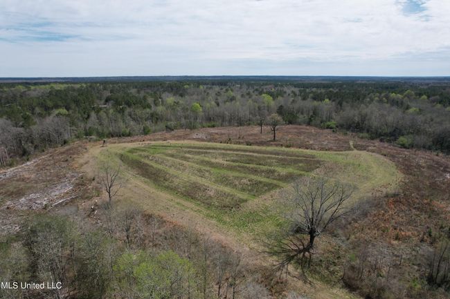 DJI_0013 | Image 38