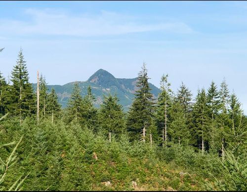 80788 Hamlet Rd, Seaside, OR, 97138 | Card Image