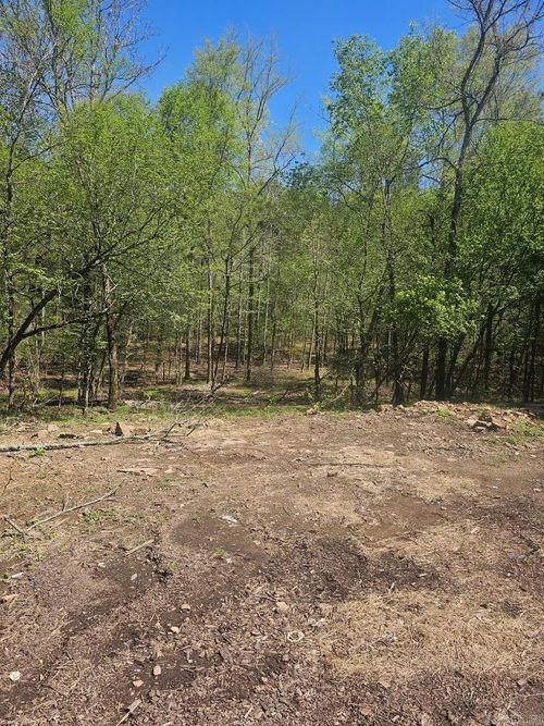 lot-b-2750 Bob Hall Rd, Donaldson, AR, 71941-8095 | Card Image