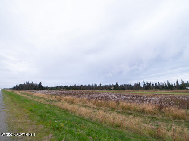 Land in Kenai 2