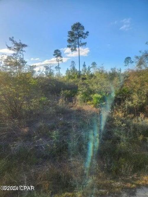 Hwy 167 County Road #167, Fountain, FL, 32438 | Card Image