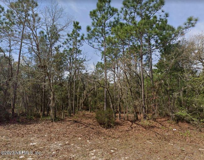 lot 30 O Farrell Avenue, Home with 0 bedrooms, 0 bathrooms and null parking in Interlachen FL | Image 3
