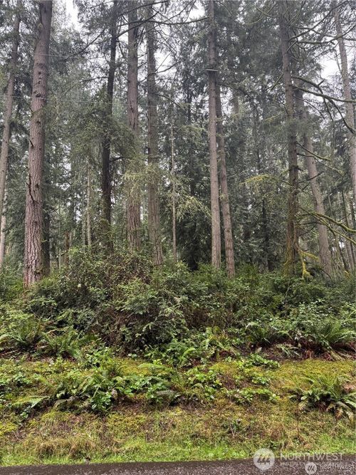 12708 Lovass Rd, Anderson Island, WA, 98303 | Card Image