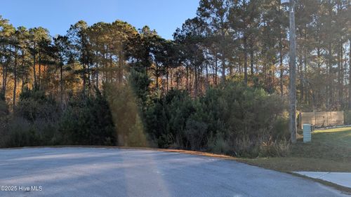 314 Livingston Ct, Holly Ridge, NC, 28445-4604 | Card Image