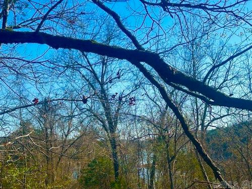 0 Marion County 8060, Yellville, AR, 72687 | Card Image