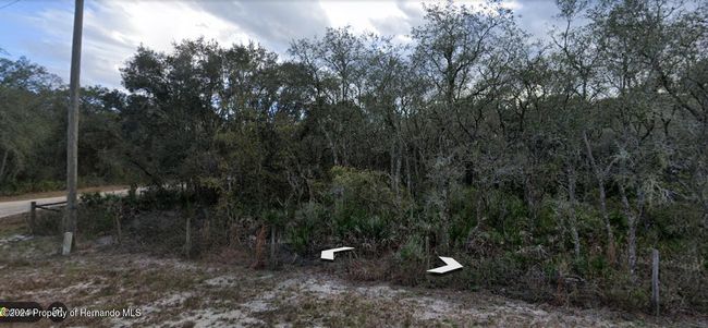 0 Manuel Street N, Home with 0 bedrooms, 0 bathrooms and null parking in Ridge Manor FL | Image 5
