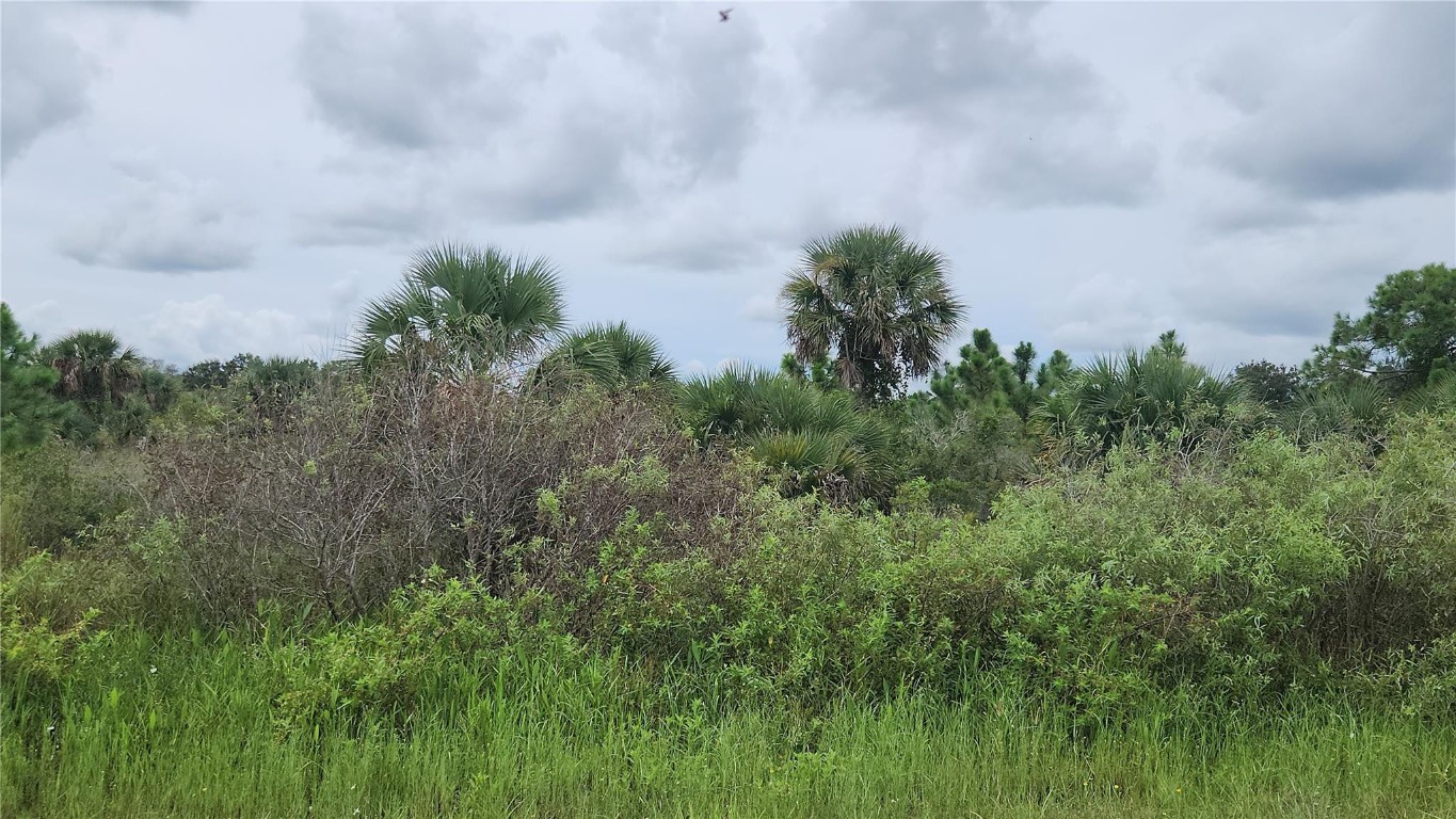 Land in Okeechobee 3