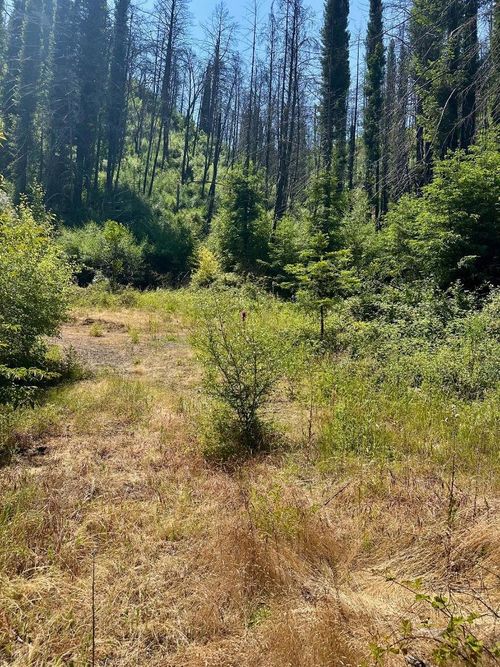 678 Swanton Rd, Davenport, CA, 95017-9724 | Card Image