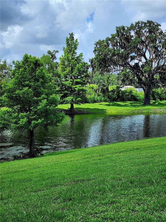 813 Marsh Reed Dr, House other with 5 bedrooms, 4 bathrooms and null parking in Winter Garden FL | Image 12