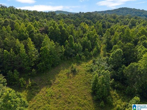 1-Lot #1 Highway 75, Oneonta, AL, 35121 | Card Image