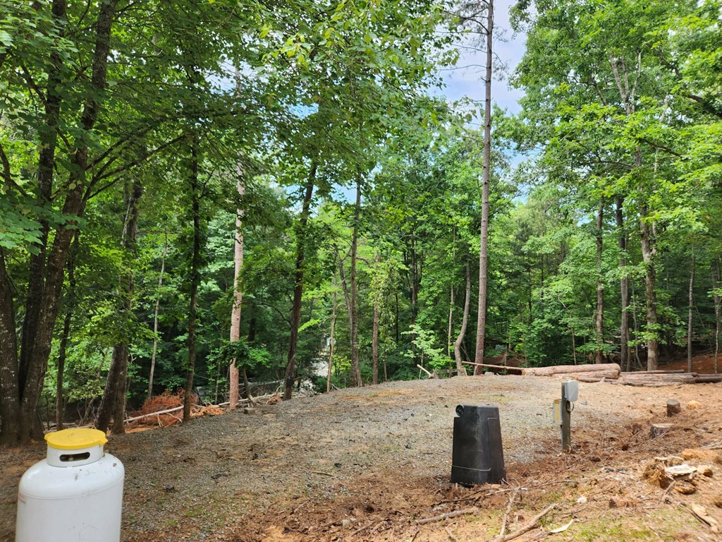 Land in Ellijay 3