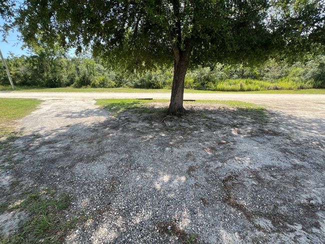 5871 Sw 104 Th Ct, House other with 3 bedrooms, 2 bathrooms and null parking in Cedar Key FL | Image 7